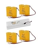 Pack Piles Compatible PRIMAPROTECT Alarme Piscine