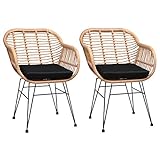 CASARIA® Lot de 2 chaises de Jardin en polyrotin Fauteuil d'intérieur d'extérieur Jardin Salon résistant aux UV