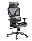 NOBLEWELL Chaise de Bureau Ergonomique, Fauteuil de Bureau avec Support Lombaire, Fauteuil à Dossier Haut Respirant avec accoudoir de Chaise réglable 3D en Maille respectueuse de la Peau (Noir)