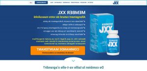 ▷ Vous pouvez désormais vous procurer des décorations japonaises sur Internet - Une grande variété d'objets